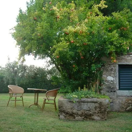 2 Via Degli Olivi *
